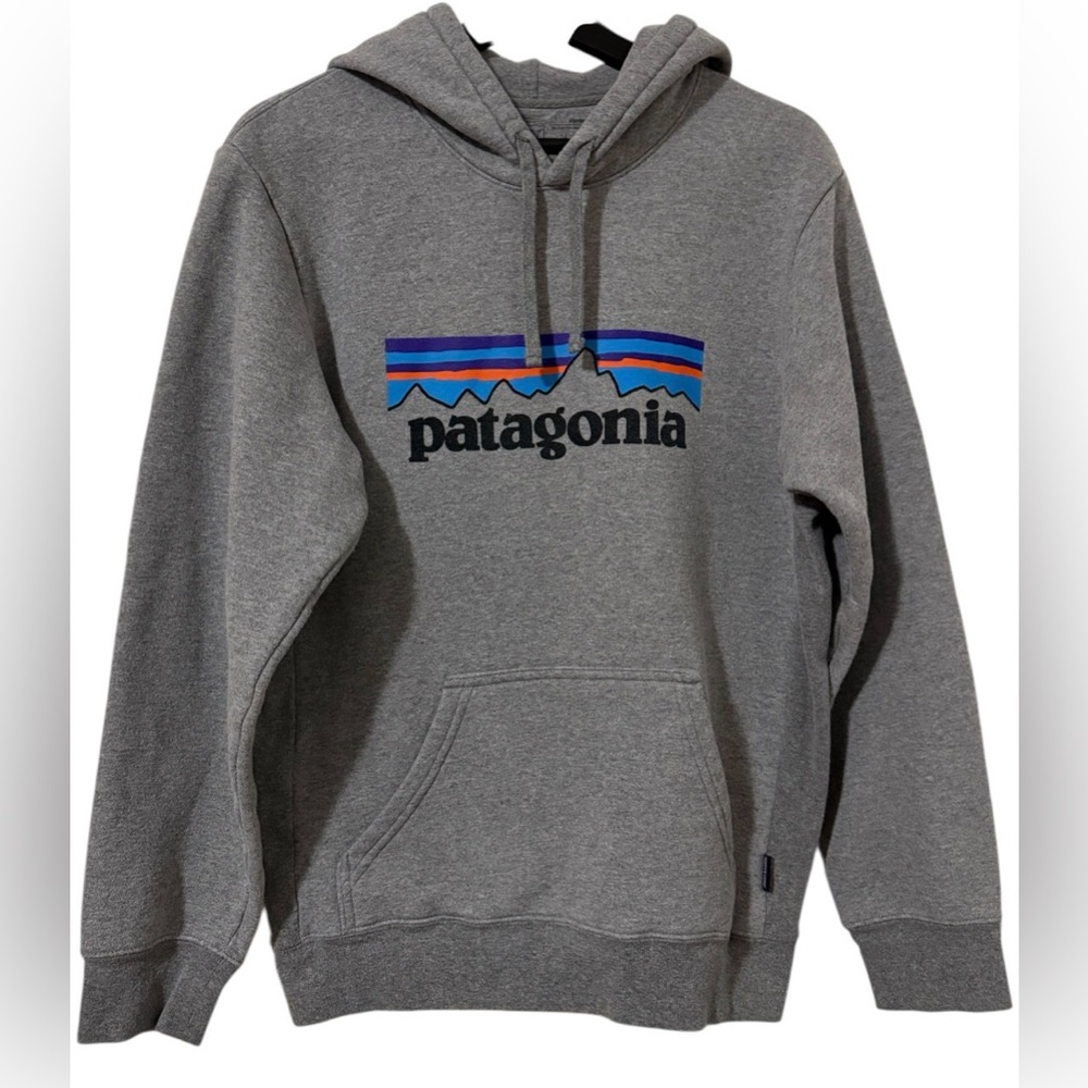 Patagonia Gray Hoodie with Blue and Purple Accents
